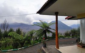 Guesthouse Gunung Bromo